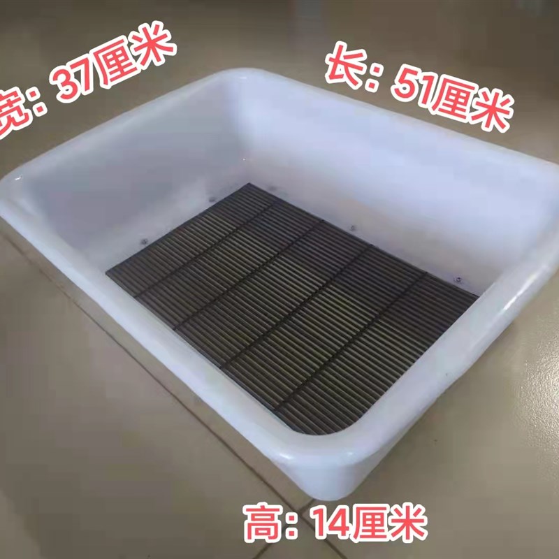 黄粉 虫蛹分离筛虫黄粉卵产虫筛 黄粉虫养殖盒 蛋白虫产卵筛