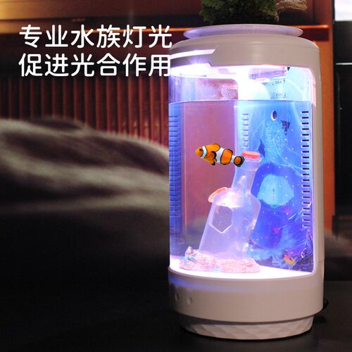 森侨桌面鱼缸热带鱼小型缸生态缸斗鱼创意水族箱淡海水缸小丑鱼缸