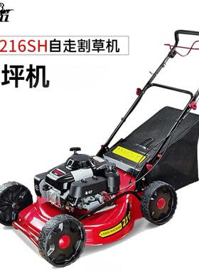 凯姿GXV160动力割草机21寸汽油打草机推草机KZ216SH自走式草坪机