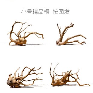 鱼缸造景杜鹃根小号树根南美神仙鱼缸造景软装树根树枝鱼缸装饰根