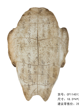 树脂仿真化石甲骨文龟壳摆件 咖啡厅酒吧壁挂墙面软装饰教学道具