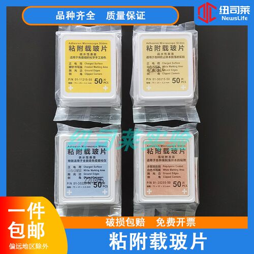 病理防脱粘附载玻片 高品质组织正电荷处理 高清免洗办公用品耗材