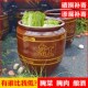 老式 腌菜缸家用陶瓷咸菜缸米缸土陶水缸东北酸菜缸酱缸发酵缸瓦缸