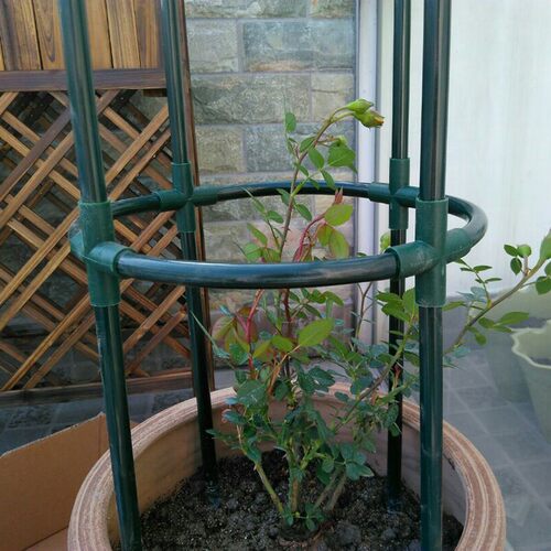 热销 铁艺花架 圆柱花架 花支架 爬藤架 花架