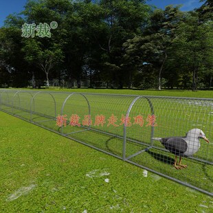 隧道养鸡笼养鸡跑道隧道养殖溜达鸡走地鸡专用的跑道笼子散养鸡户