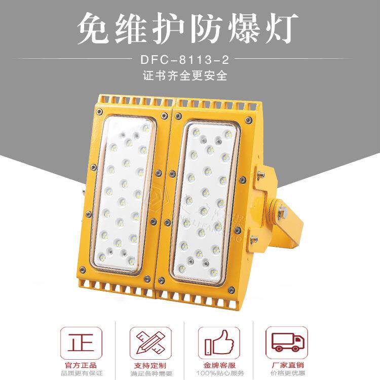 led免维护防爆灯50w60w80w100w120w防水防尘高效节能防爆投光灯