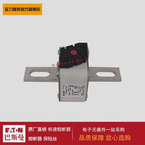 熔断器170M6749 170M6750 170M6751 170M0111 170M0112 170M0113