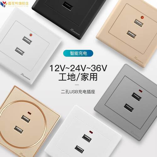 86香槟金船房车usb插座低压12V24VUSB插座36V二孔USB充电插座面板