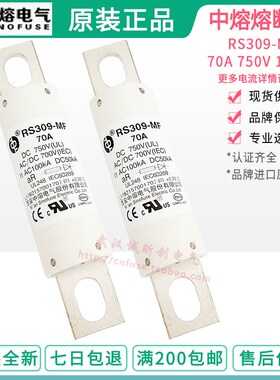 中熔新能源熔断器 RS309-MF 40A50A60A70A80A100A125A150A 750VDC