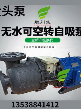 可空转自吸泵耐酸碱化工泵电镀大头泵铁氟龙水封卧式马肚泵5.5KW