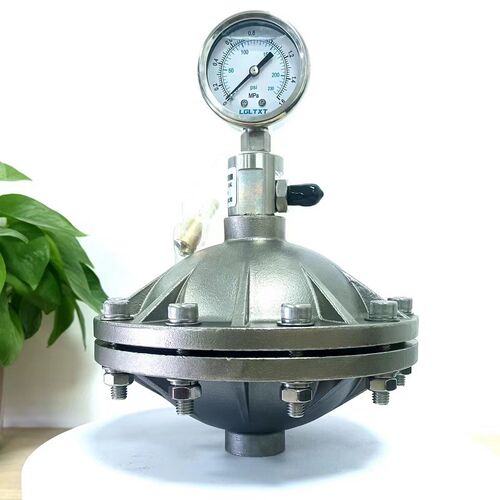 DN15/20/25膜片式脉冲阻尼器 隔膜式缓冲器不锈钢304/316缓冲罐加