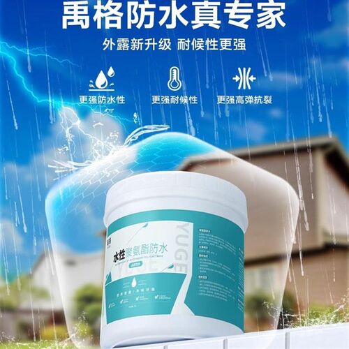 外墙屋顶水泥水池防水涂料窗台防水渗水补漏材料