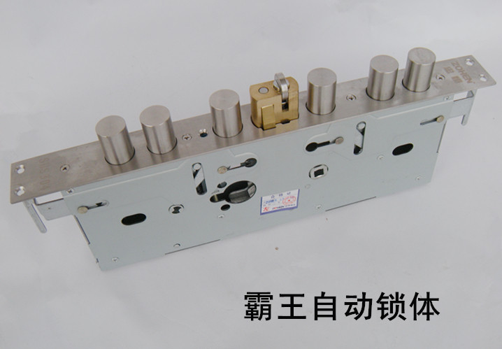 防盗门霸王自动齿轮锁体 忠恒锁体自动锁 自动锁 大自动锁体