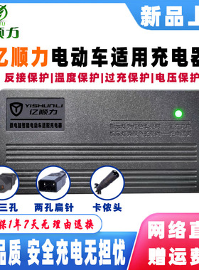 亿顺力电动车电瓶充电器72V20AH32AH80V84V96V50AH108V120V两扁针
