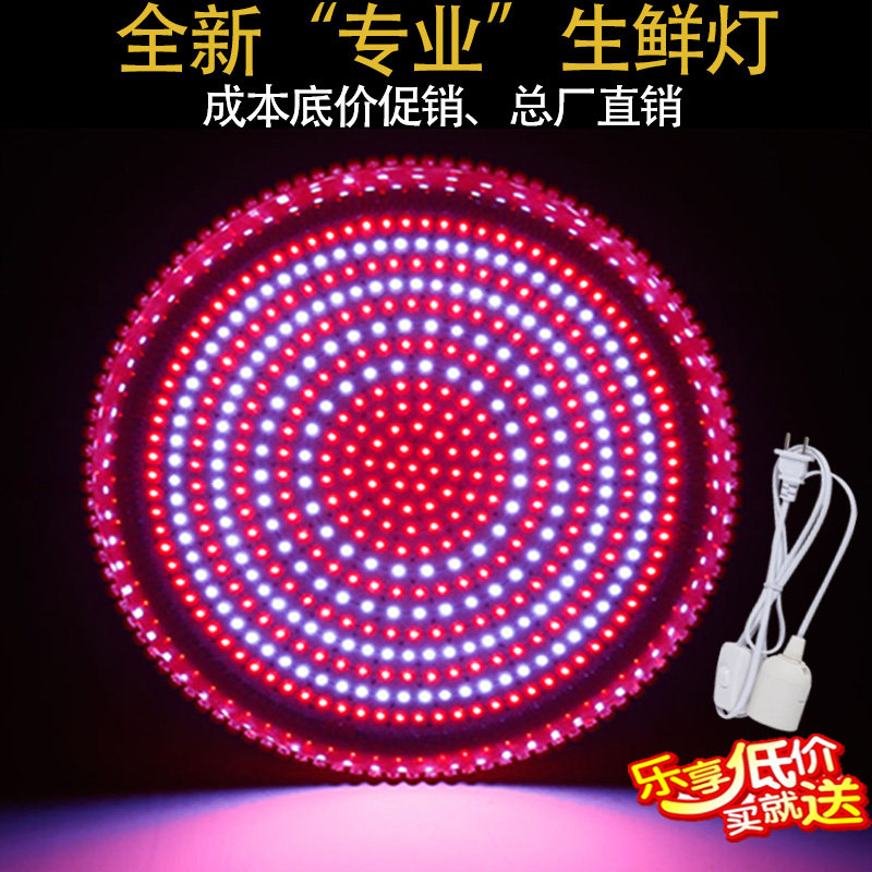 led生鲜猪肉灯照肉灯卤菜海鲜灯熟食灯led水果灯肉档灯超市吊灯泡,家装灯饰光源,LED球泡灯,淘宝优惠券,粉丝福利购,淘宝优惠卷