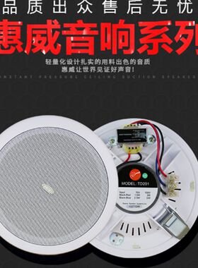Hivi/惠威TD201/TD202/TD205/TD206嵌入式吸顶喇叭吊顶天花音响箱