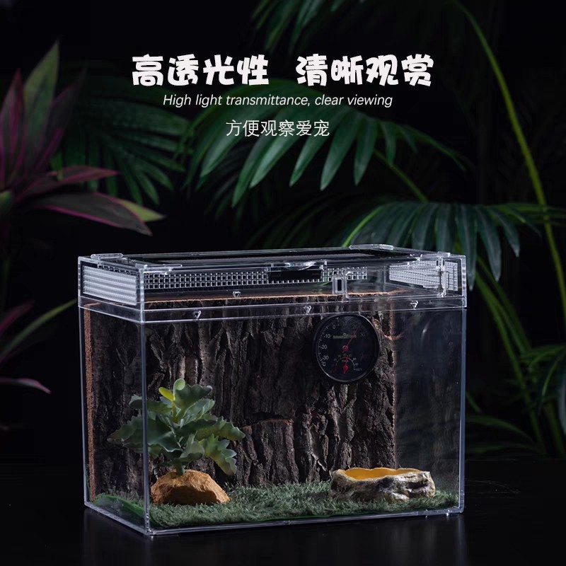 爬宠生态造景雨淋缸爬虫饲养箱角蛙蜘蛛守宫蜥蜴宠物饲养盒养蟹缸