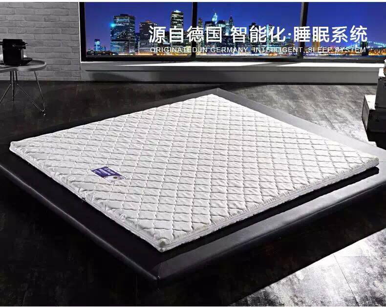 强力床垫 棕垫 拆装式硬棕垫 天然椰棕 环保棕垫 纯椰棕棕垫