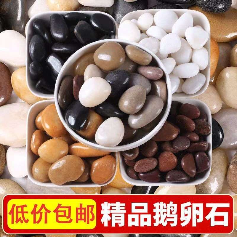 50斤五彩色鹅卵石小石头铺路庭院铺阳台鱼缸天然原石雨花石造景
