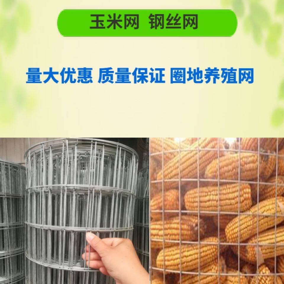 囤玉米篓子圈玉米网仓储加粗铁丝网围栏拦狗地面防裂加固鱼塘防护