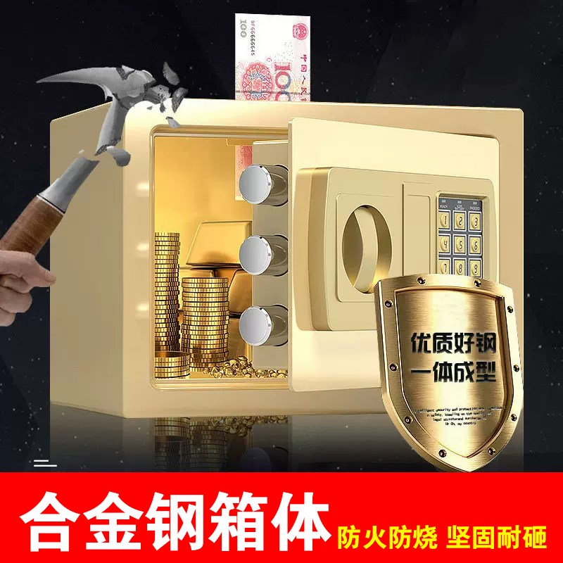 家罐保存柜险钱用大人2024新款可存可取密码锁大容量小型儿童男孩
