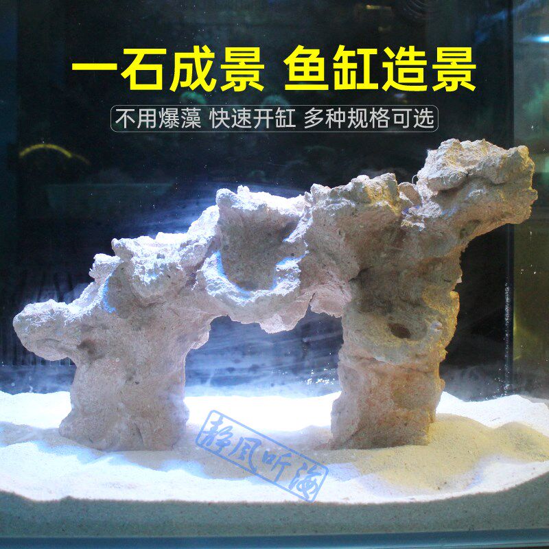 成品造景石 培菌石海爆珊瑚缸 扣缸藻纽扣断枝座纽免珊瑚底座