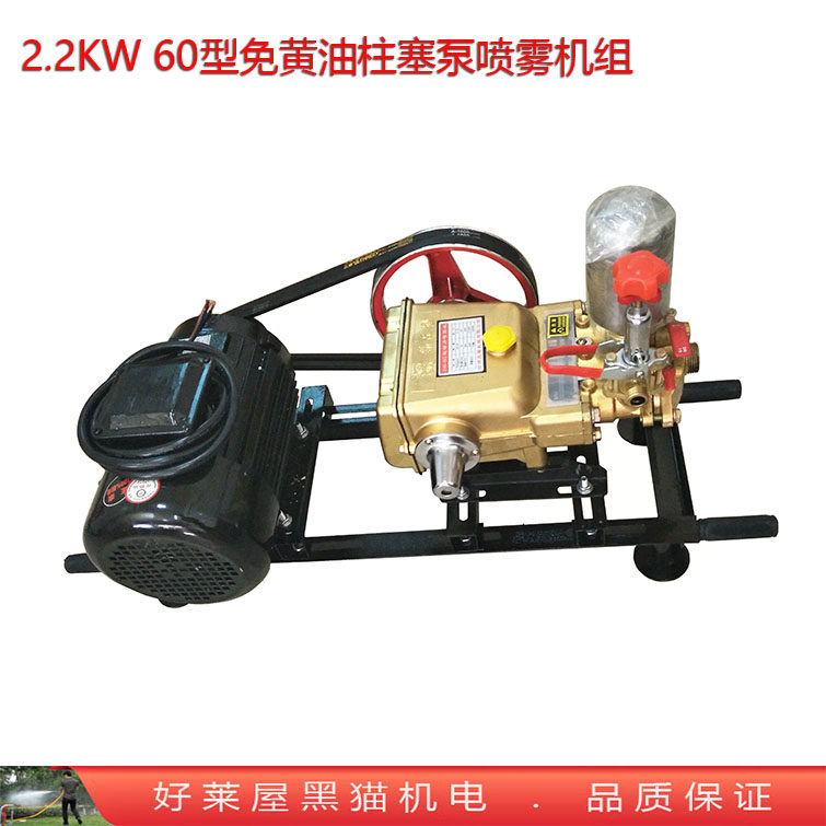2.2KW0线电机免6铜型陶瓷配黄油三缸柱塞泵 喷雾器洗车打药担架式