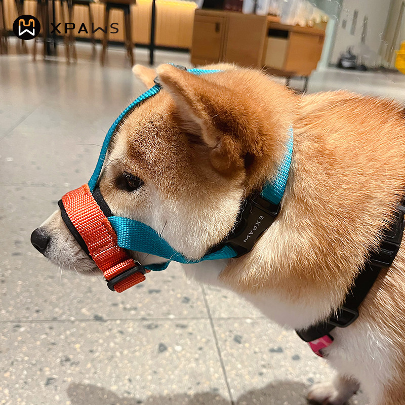 XPAWS 狗狗防扒嘴套中大型嘴套