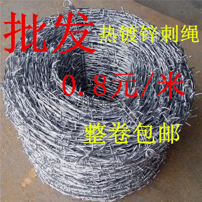 安平厂家热镀锌刺绳刺网刺铁丝防盗网铁蒺藜防护网不生锈