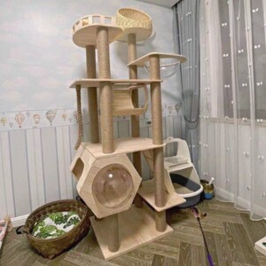 缅因实木抓爬架猫架大型豪华猫窝布偶猫别墅猫猫公子人猫柱用家具