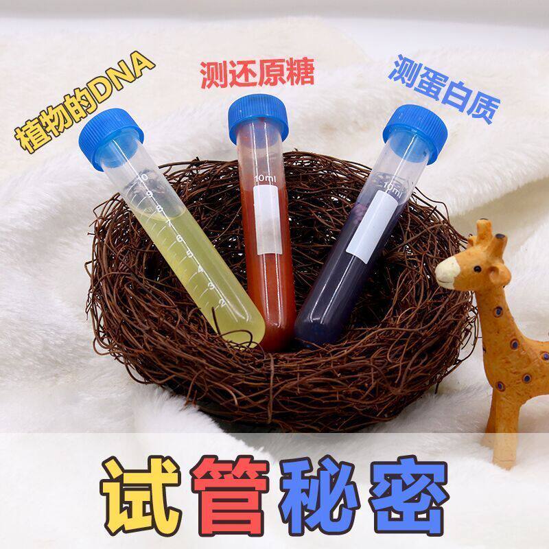 科学小实验试管秘密 科技小制作小发明益智玩具创新DIY手工材料包