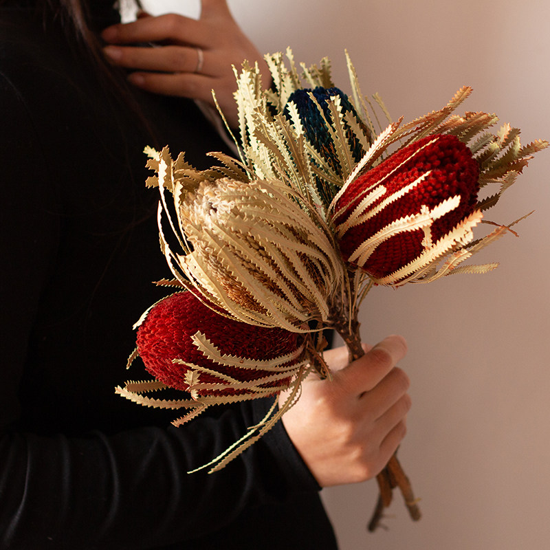 进口高端花材家居民宿装饰干燥花摆设橱窗摆件花束搭配班克木干花,家居饰品,干花/花瓣/干花包/干树枝,淘宝优惠券,粉丝福利购,淘宝优惠卷