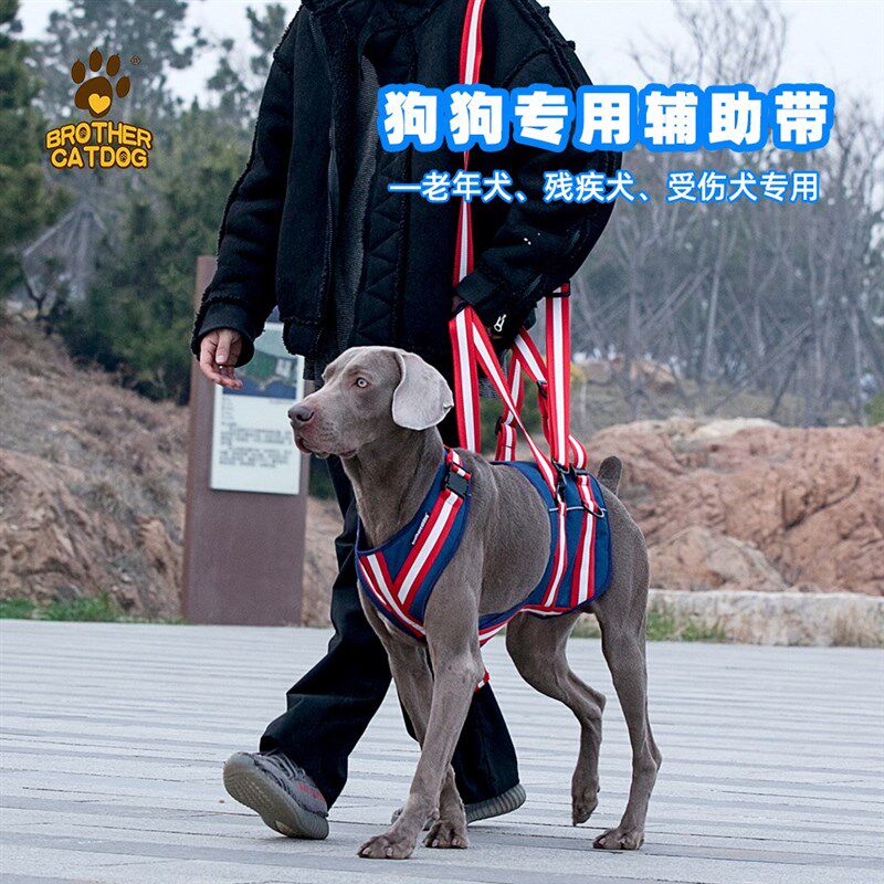 老年狗辅助带高龄犬助力带残疾狗狗四肢无力后腿行走宠物胸背带