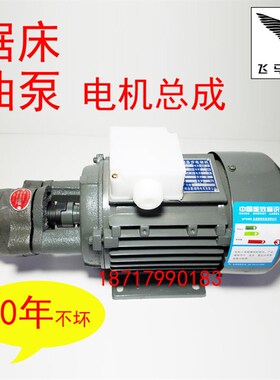 锯床齿轮油泵电机组380V三相0.55KW 机床液压泵电机组CB-B6/B4