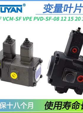 PVD变量VP叶片泵VCM-SF VP-DF VVPE VPFE F15 F20 F30 F40 20D30D