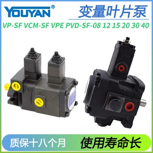 F15 20D30D F40 F30 F20 VPFE VVPE PVD变量VP叶片泵VCM