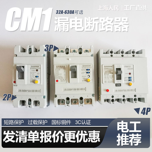CM1LE单相2P漏电断路器63A 80A 100A 125A 220V 250A空气开关160A