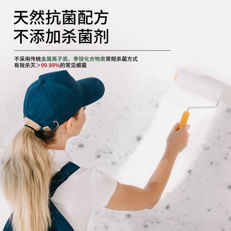 刷漆士淳天然抗菌水漆内墙净味乳胶德家用室内大桶装自巴白色涂料