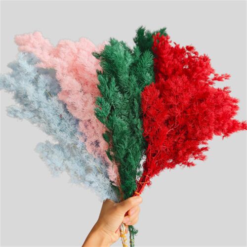 深海苔藓蓬莱松绿色干花花束手工无杂质客厅微景观吊顶diy材料