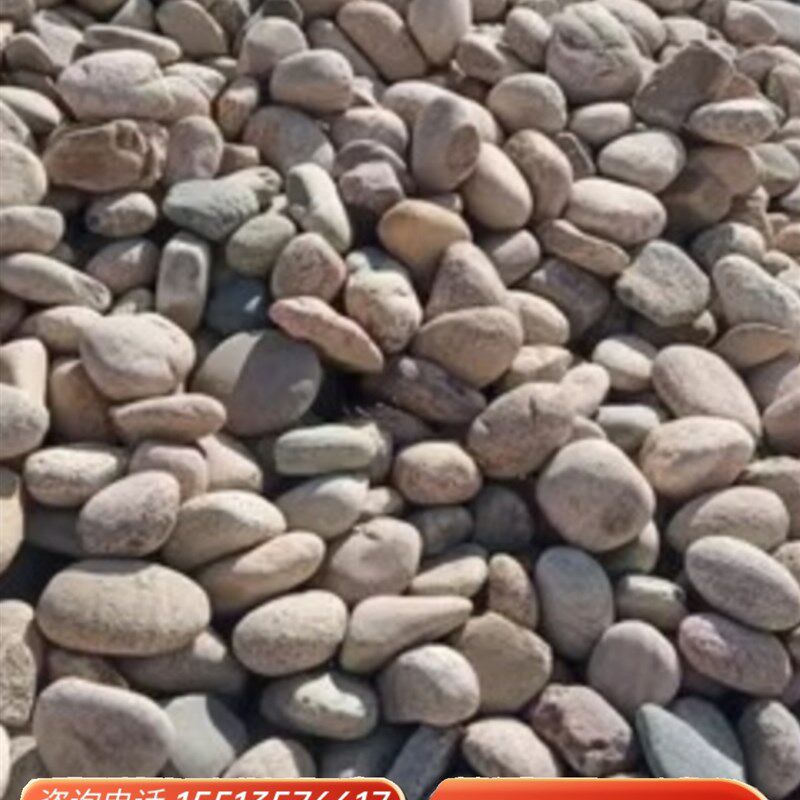 上海电站鹅卵石园林装饰天然河流鹅卵石鱼缸庭院园林美化大石池塘