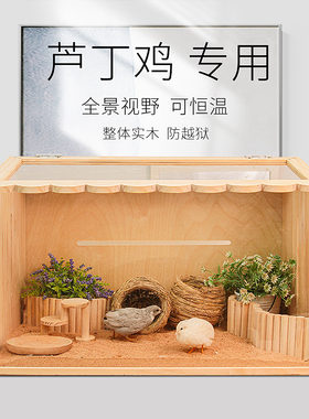芦丁鸡饲养箱全套全景实木宠物箱子鸡盒PVC卢丁鸡养箱笼子鸡窝笼