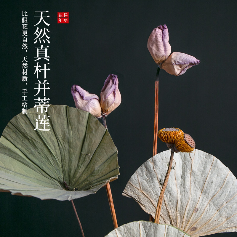 莲蓬干花莲花荷花荷叶花束客厅摆设风干天然酒柜装饰品摆件真花