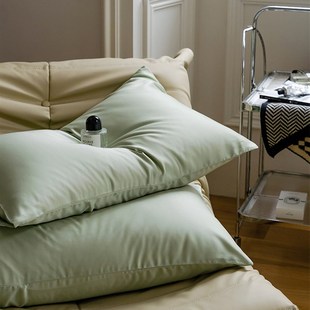 高端夏季 纯色60支进口天丝枕套48cmx74cm单只冰丝枕头套单件家用