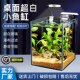 家用新款 生态鱼缸免换水客厅电视柜超白桌面缸小型超白玻璃水族箱