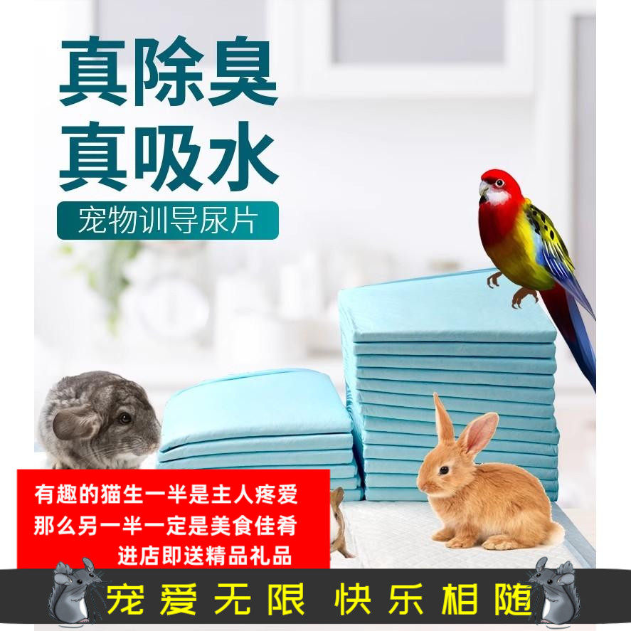 宠物尿垫尿片狗狗隔尿垫加厚竹炭背胶吸水除臭一次性专用尿布,宠物/宠物食品及用品,尿片/尿垫/护垫,淘宝优惠券,粉丝福利购,淘宝优惠卷