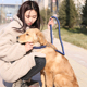 中型犬大型犬 金毛阿拉斯加牵引带遛狗绳项圈狗链子P链牵引绳套装
