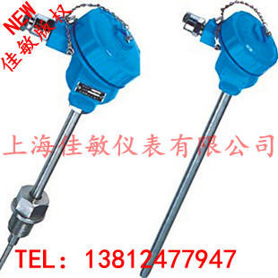 Pt100防爆热电阻WZP-240 螺纹安装防爆热电偶 温度感测器 监视器