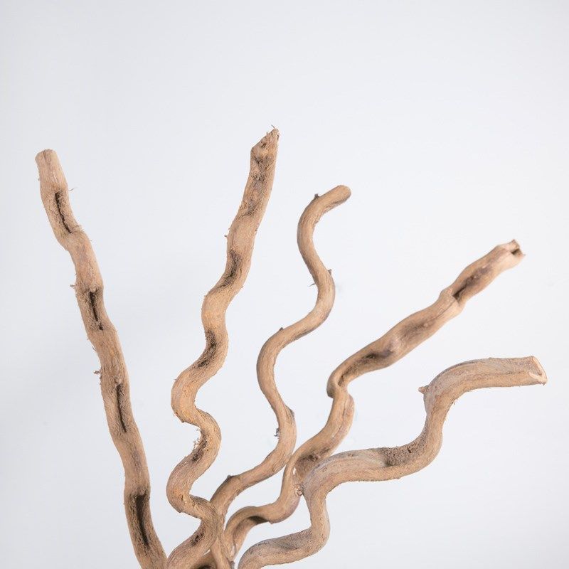 干枝干花虬龙藤干藤条干花树藤干枝装饰花藤仿真花藤枯藤山藤条,家居饰品,干花/花瓣/干花包/干树枝,淘宝优惠券,粉丝福利购,淘宝优惠卷