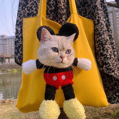 猫咪猫包外出可露头便携透气帆布包狗狗宠物背包狗包单肩出游可爱