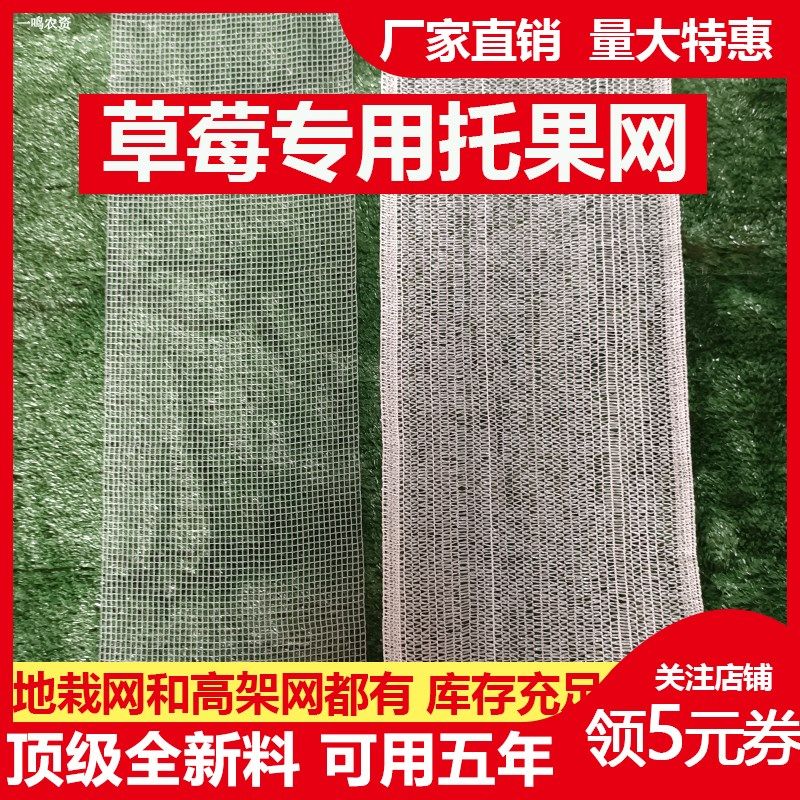 草莓托果网草莓隔离网高架托果网支架白色遮阳网大棚地栽果托网